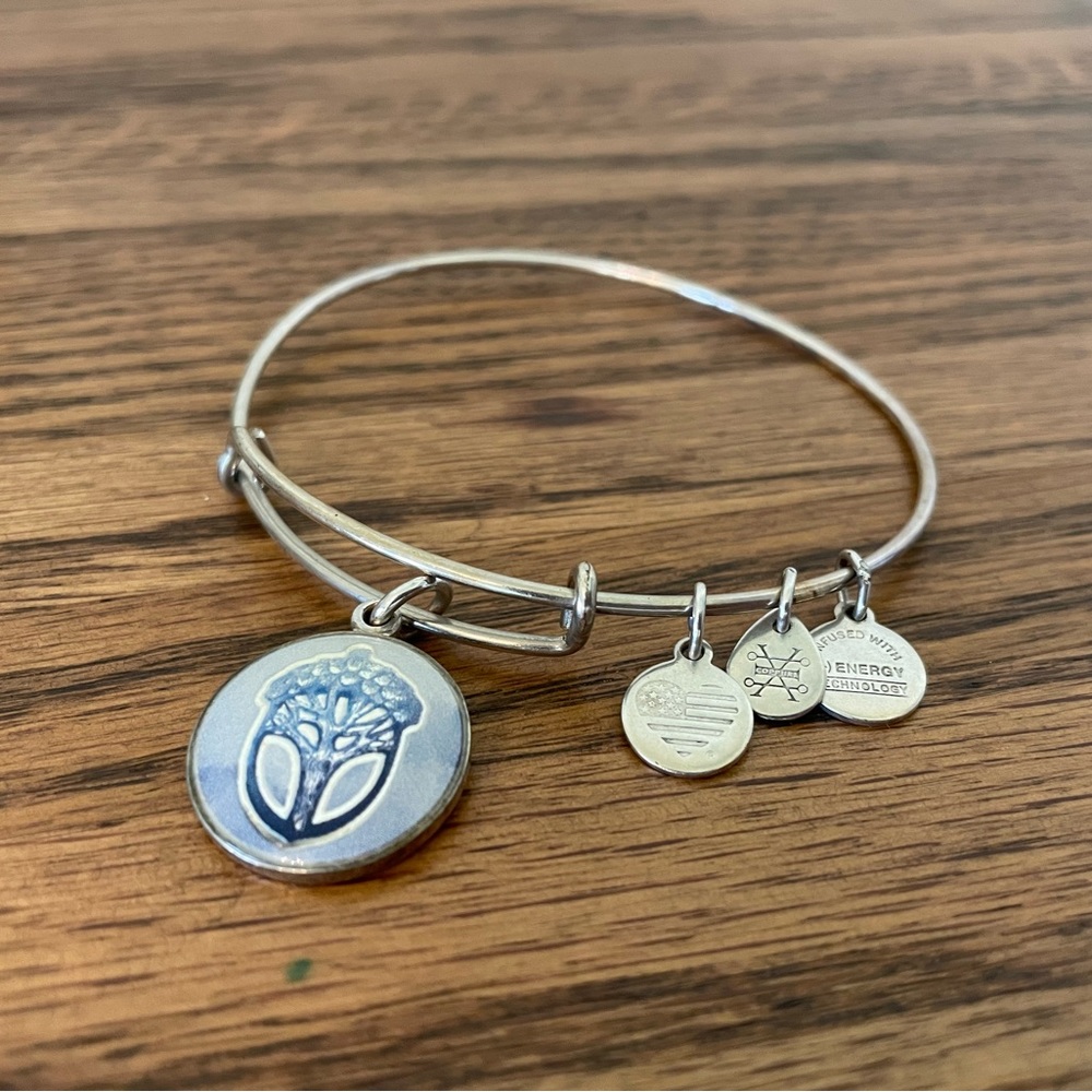 Alex and Ani charm bangle